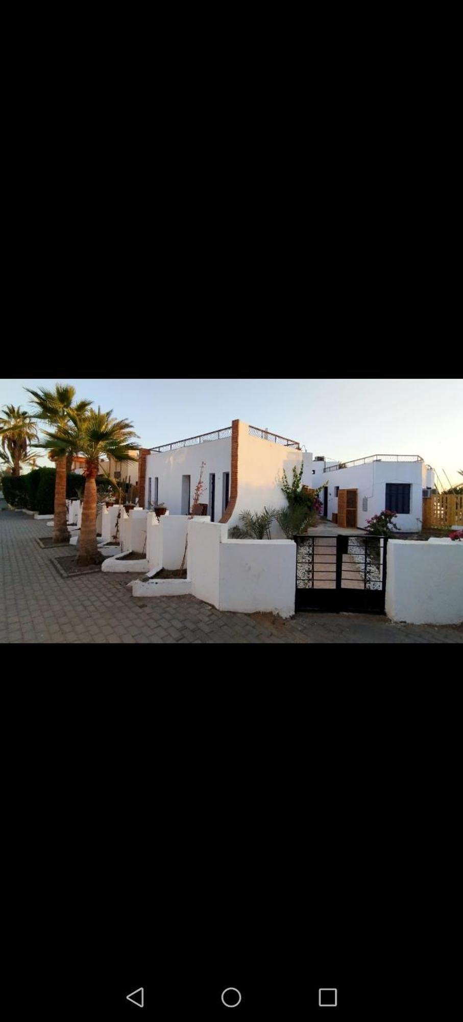Abouseif Guest House Шарм-еш-Шейх Номер фото